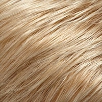 Accessories_Jon Renau_Ladies Wigs Bryce wig - SmartLace Collection Jon Renau