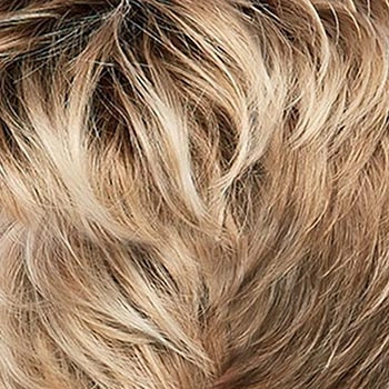 Accessories_Jon Renau_Wigs Alanna