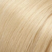Accessories_Jon Renau_Wigs easiVolume 14" human hair extensions by Jon Renau (1 piece)