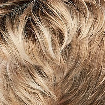 Accessories_Jon Renau_Wigs Eve