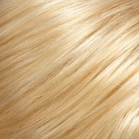 Accessories_Jon Renau_Wigs Fun Bun by EasiHair -This item is not returnable and is not refundable