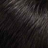 Accessories_Jon Renau_Wigs Fun Bun by EasiHair -This item is not returnable and is not refundable