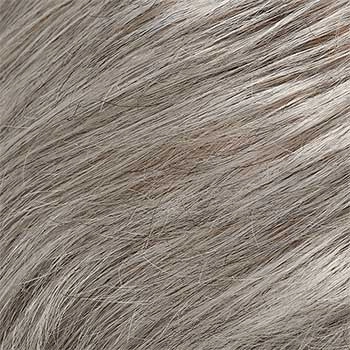 Accessories_Jon Renau_Wigs Top Notch, 5970