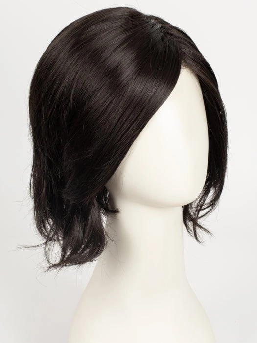 Accessories_Raquel Welch_Wigs Ahead of the Curve | Synthetic Lace Front Wig (Mono Part)