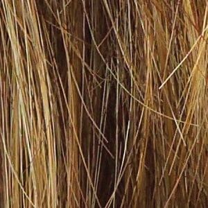 Accessories_Raquel Welch_Wigs Ahead of the Curve Synthetic Wig by Raquel Welch
