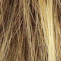 Accessories_Raquel Welch_Wigs Ahead of the Curve Synthetic Wig by Raquel Welch