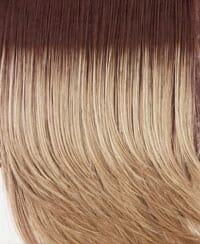 Accessories_Raquel Welch_Wigs Ahead of the Curve Synthetic Wig by Raquel Welch