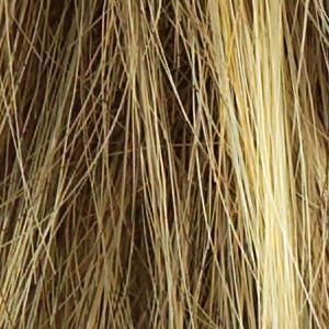 Accessories_Raquel Welch_Wigs Ahead of the Curve Wig by Raquel Welch | Synthetic Lace Front (Mono)