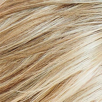 Accessories_Raquel Welch_Wigs Born to Shine