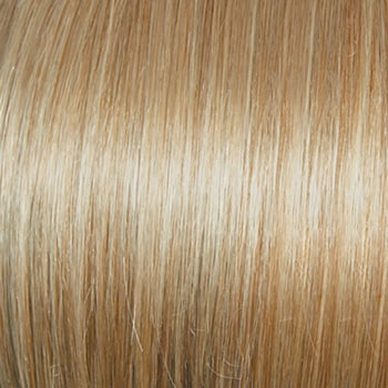 Accessories_Raquel Welch_Wigs Classic Cool Petite