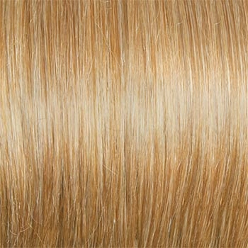 Accessories_Raquel Welch_Wigs Classic Cool Petite