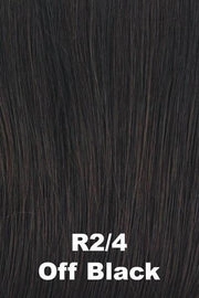 Accessories_Raquel Welch_Wigs Click Click Flash Wig by Raquel Welch | Heat Friendly Synthetic Hair | Average Cap