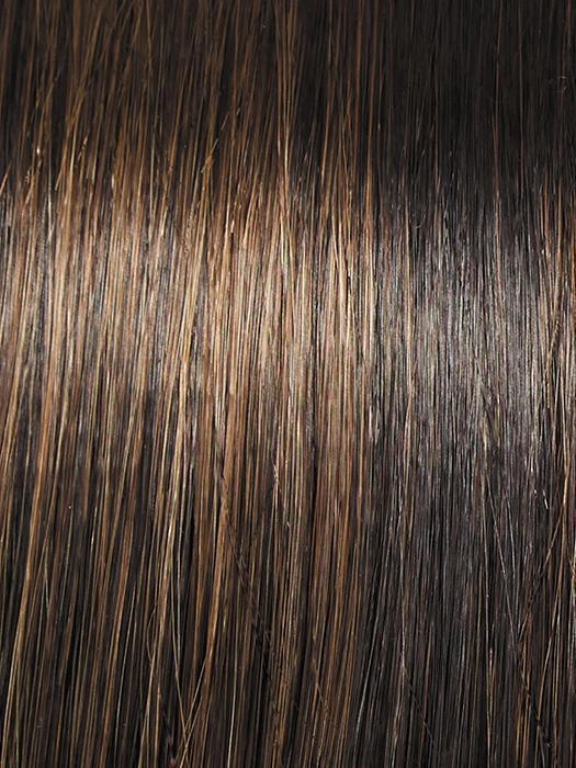 Accessories_Raquel Welch_Wigs Editor's Pick Elite Wig by Raquel Welch | 100% Hand Tied Heat Friendly Synthetic Lace Front (Mono)