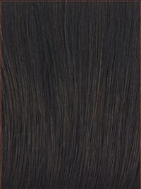 Accessories_Raquel Welch_Wigs Flirting with Fashion by Raquel Welch