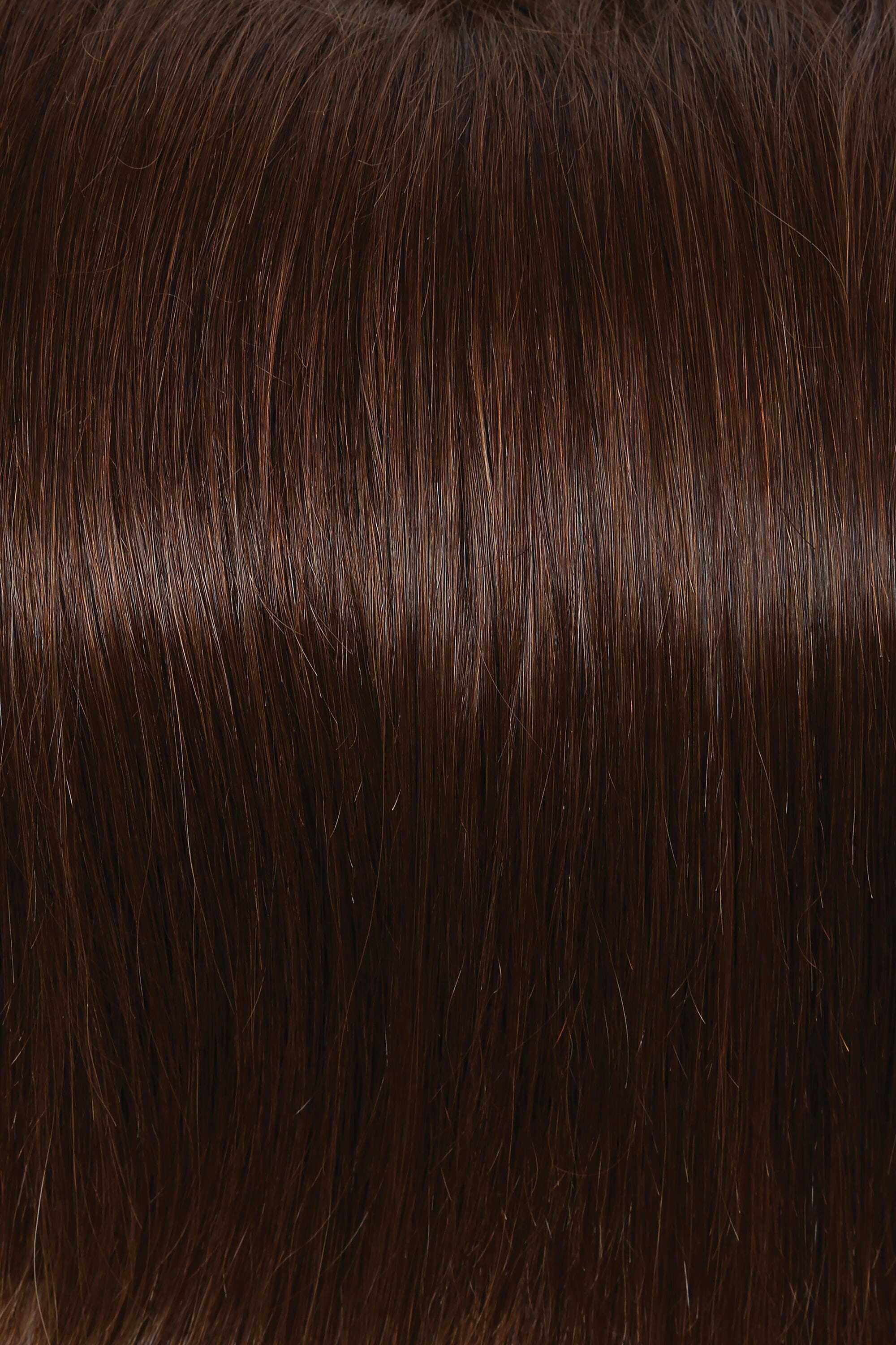 Accessories_Raquel Welch_Wigs Grand Entrance Human Hair Wig by Raquel Welch