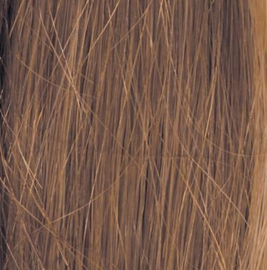 Accessories_Raquel Welch_Wigs Human Hair Clip-In Bangs by Raquel Welch | (Hand Knotted Monofilament Base)