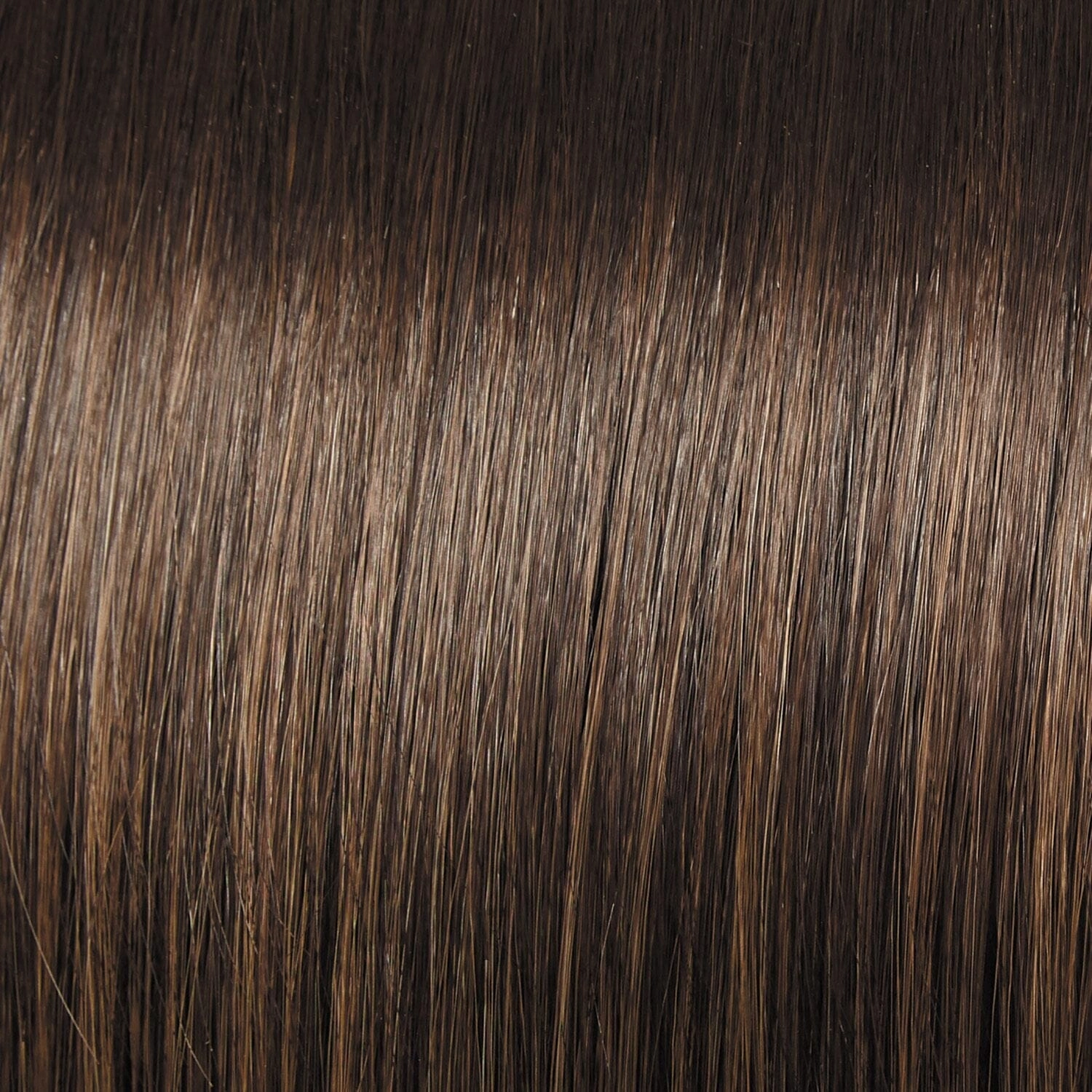 Accessories_Raquel Welch_Wigs Influence Elite Wig by Raquel Welch