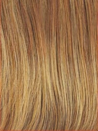 Accessories_Raquel Welch_Wigs Portrait Mode Wig by Raquel Welch
