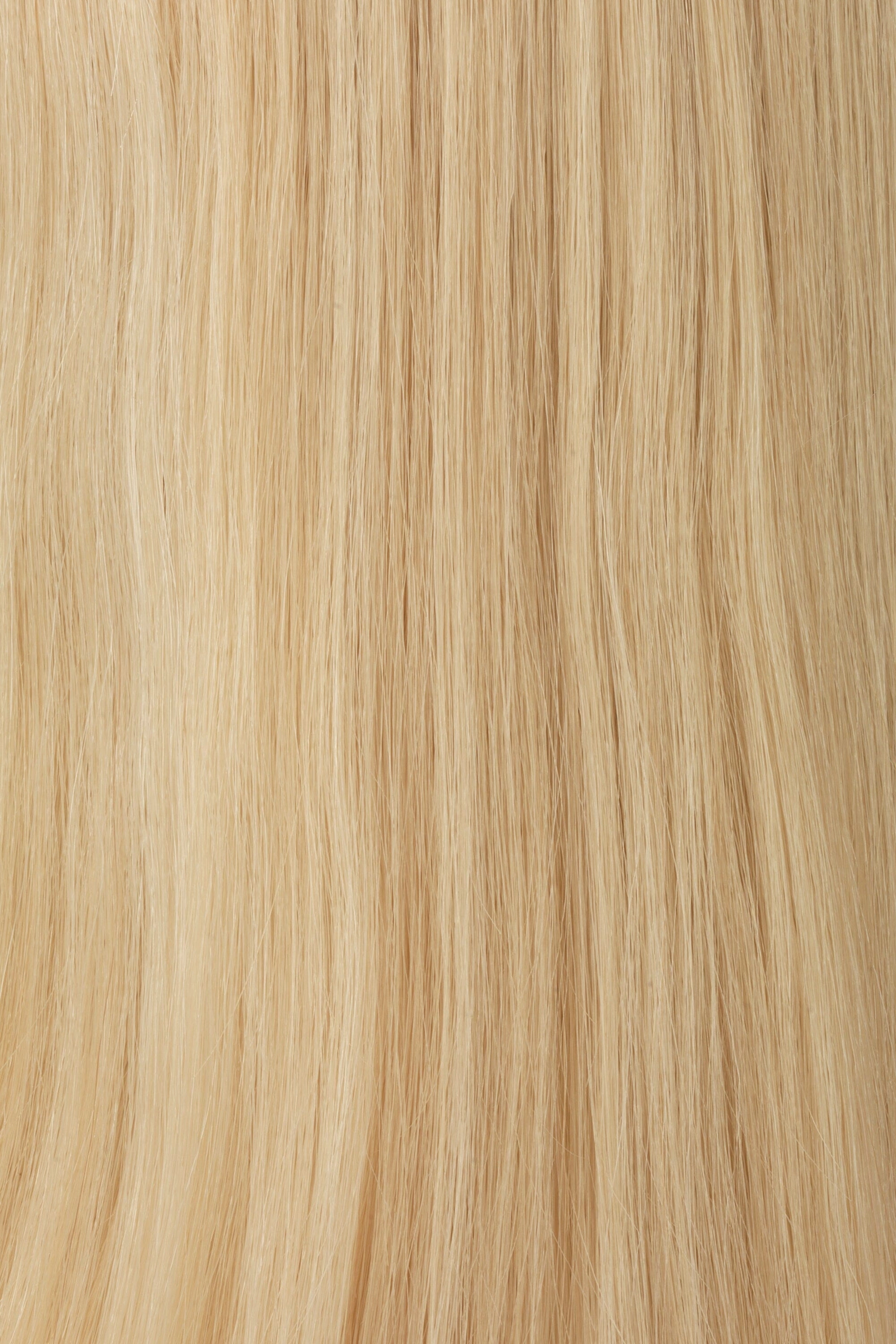 Accessories_Raquel Welch_Wigs Princessa Human Hair Wig by Raquel Welch