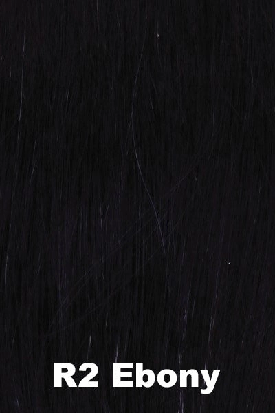 Accessories_Raquel Welch_Wigs Raquel Welch Wigs - Winner Premium