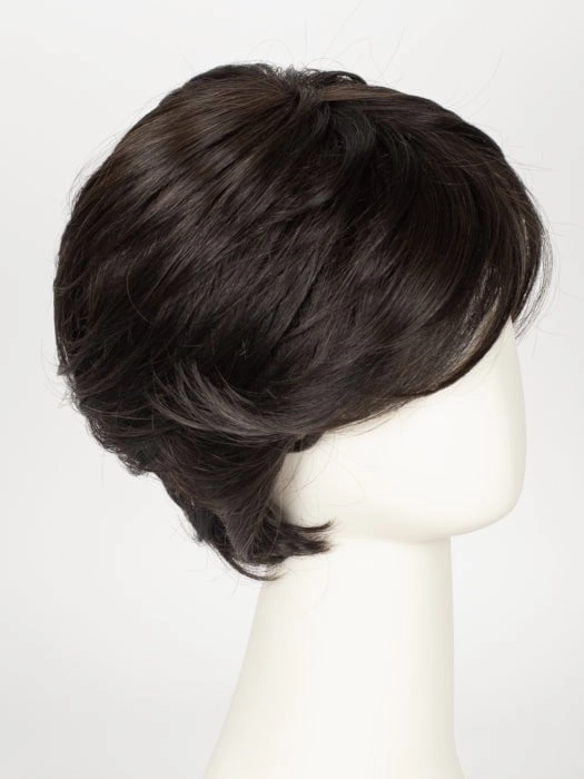 Accessories_Raquel Welch_Wigs Ready For Takeoff | Synthetic Lace Front Wig (Mono Top)