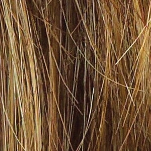 Accessories_Raquel Welch_Wigs Salsa Wig by Raquel Welch