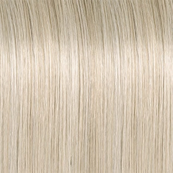 Accessories_Raquel Welch_Wigs Simmer Elite Petite