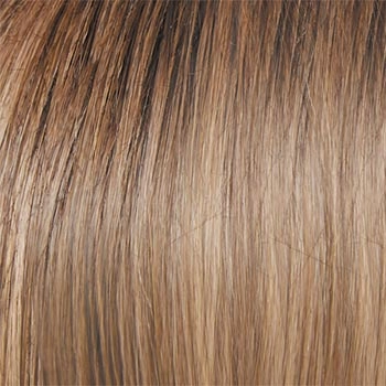 Accessories_Raquel Welch_Wigs Simmer Elite Petite