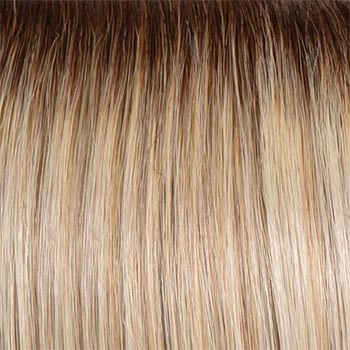 Accessories_Raquel Welch_Wigs Simmer Elite Petite