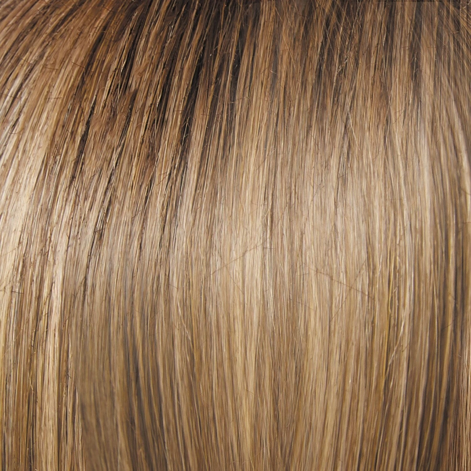 Accessories_Raquel Welch_Wigs Style Society by Raquel Welch | Lace Front | Mono Top
