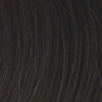 Accessories_Raquel Welch_Wigs Success Story Human Hair Wig by Raquel Welch