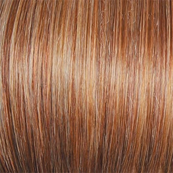 Accessories_Raquel Welch_Wigs Tress