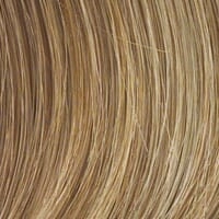 Accessories_Raquel Welch_Wigs Tress Wig by Raquel Welch
