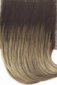 Accessories_Raquel Welch_Wigs Untold Story Wig by Raquel Welch
