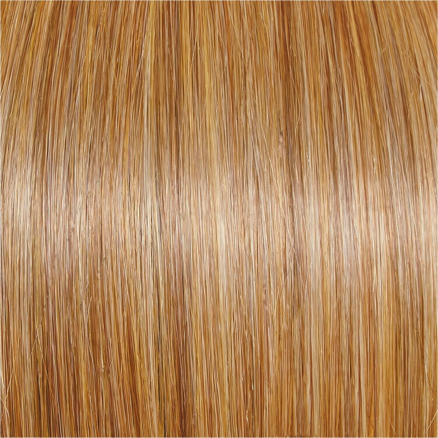 Accessories_Raquel Welch_Wigs Untold Story Wig by Raquel Welch