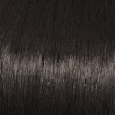 Accessories_Raquel Welch_Wigs Winner Premium Wig by Raquel Welch | Synthetic (Lace Front)