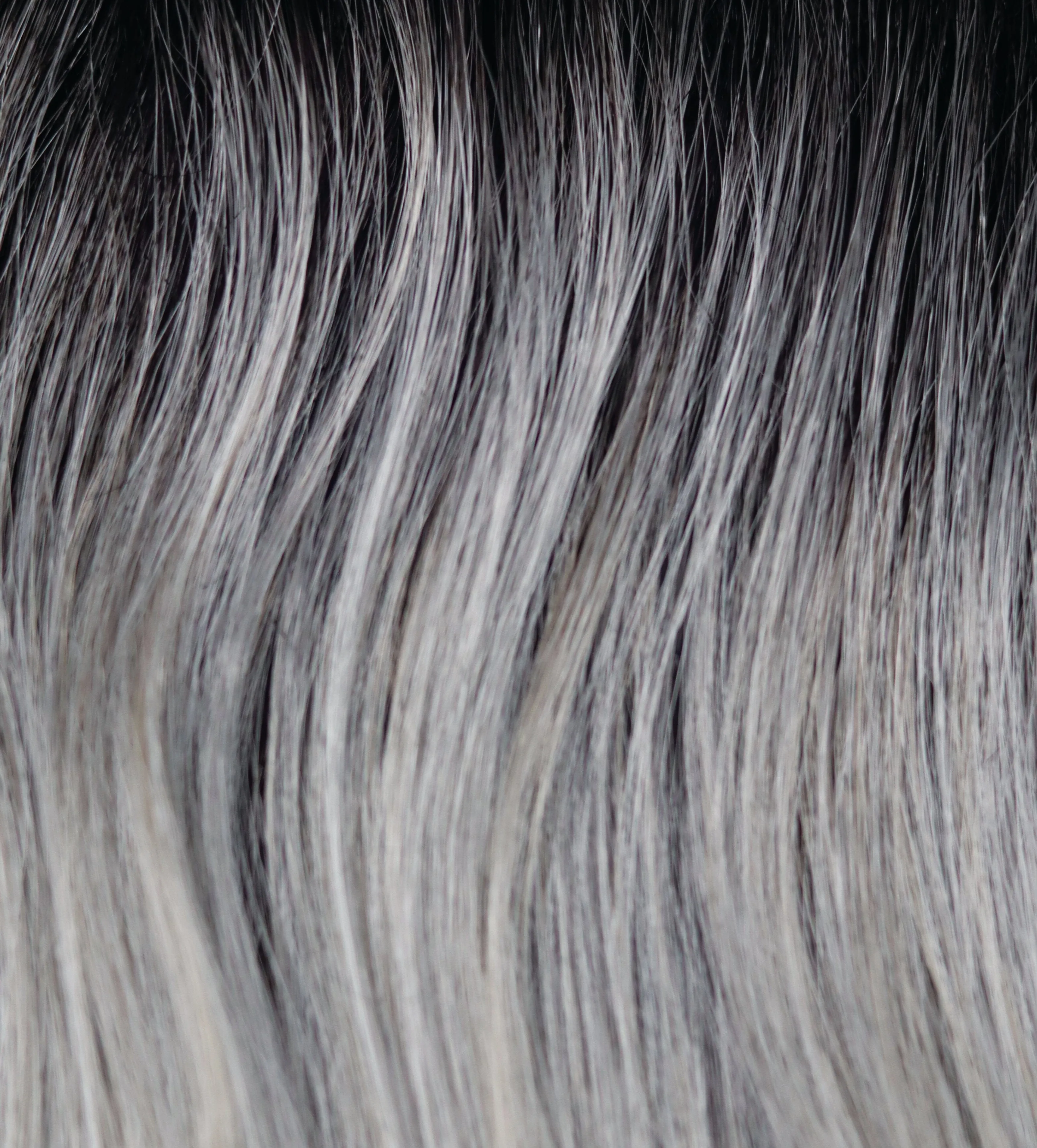 Accessories_Rene of Paris_Wigs Carson Synthetic Wig by Rene of Paris |  Lace Front | Lace Part