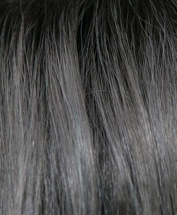 Accessories_Rene Of Paris_Wigs Eden Wig by Noriko | Synthetic (Lace Front   Lace Part)