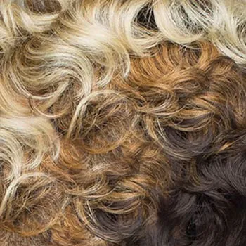 Accessories_Rene Of Paris_Wigs Posh