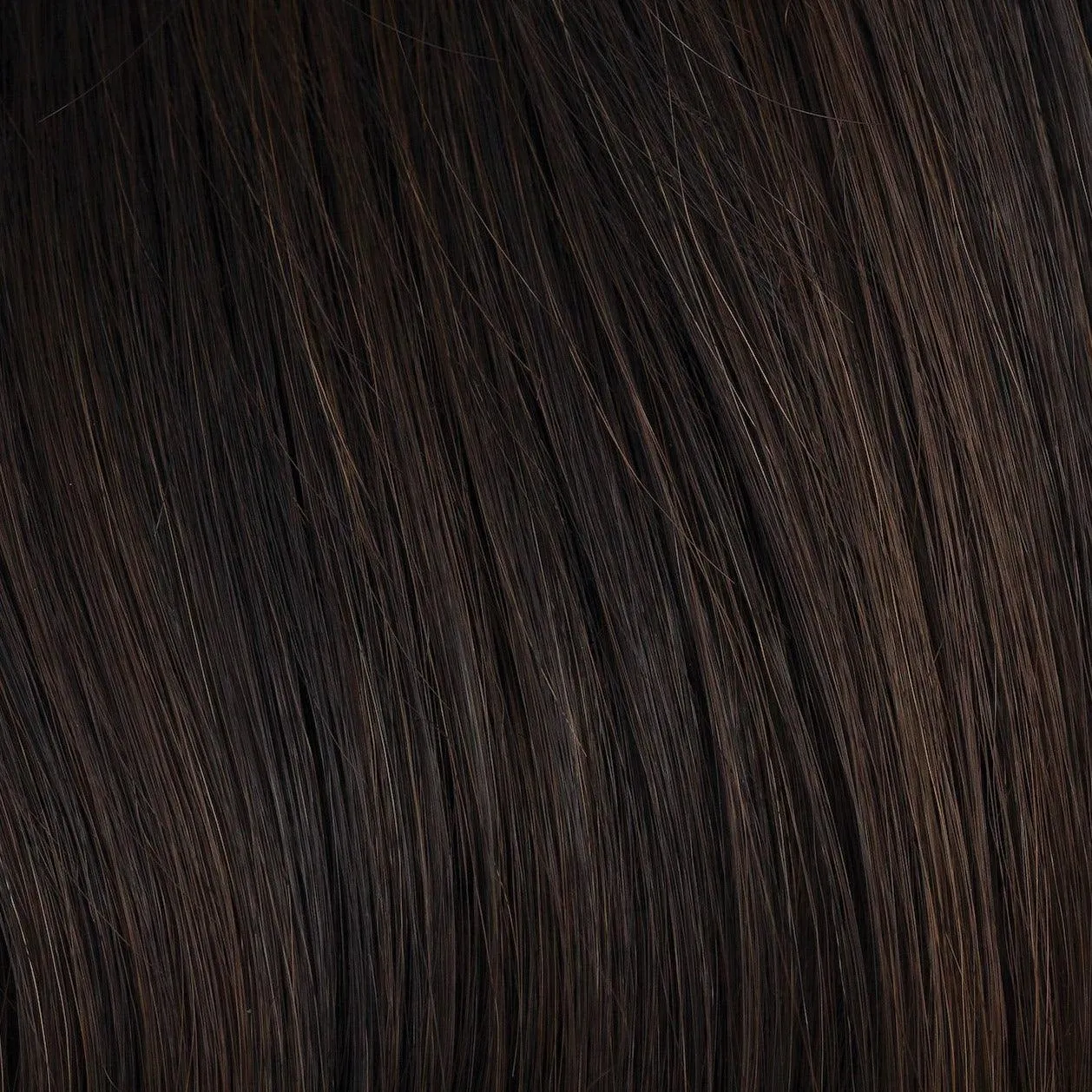 Accessories_Rene Of Paris_Wigs Sassy Wig by Rene of Paris | Synthetic (Basic Cap)