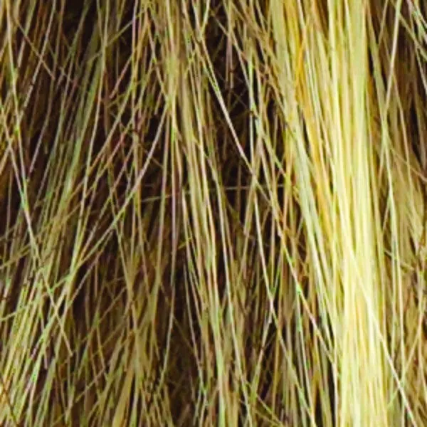 Accessories_Rene Of Paris_Wigs Sparkle Elite Wig by Raquel Welch | Synthetic Hair | Average Cap