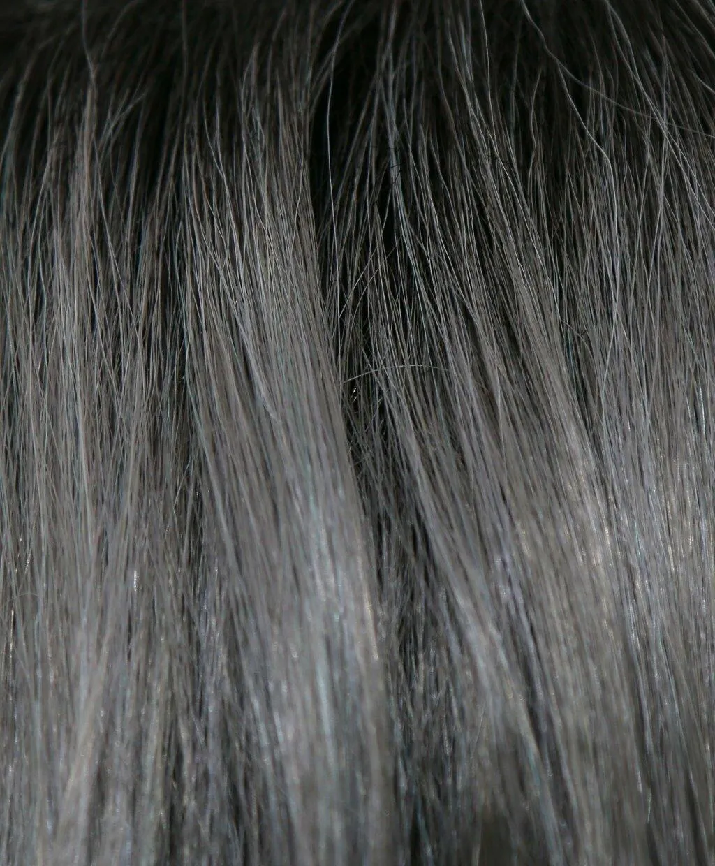 Accessories_Rene Of Paris_Wigs Vada Wig by Amore | Synthetic (Lace Front Double  Mono Top)