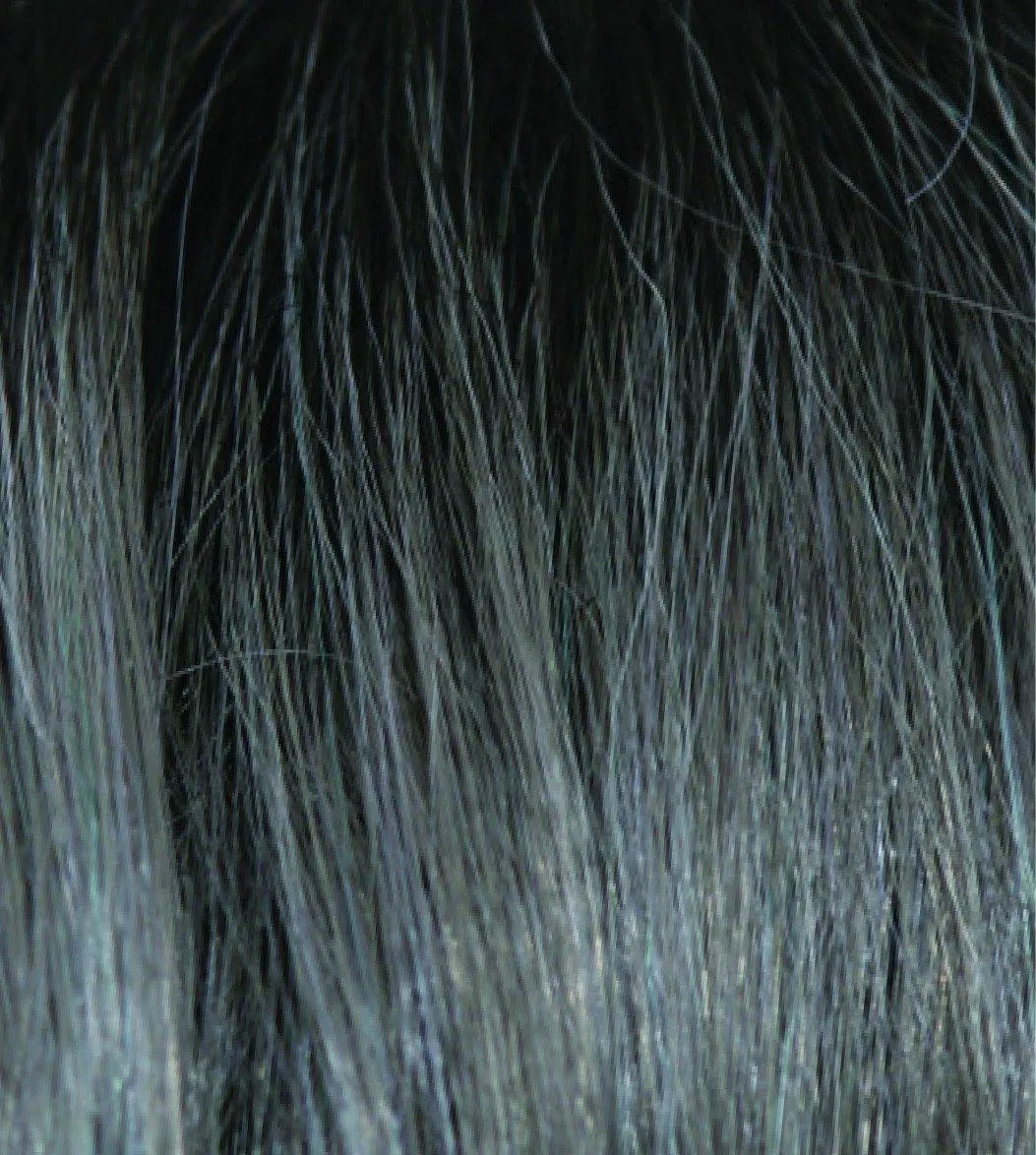Accessories_Rene Of Paris_Wigs Zion Wig by Noriko | Synthetic (Lace Front Traditional Cap)