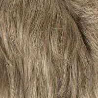 Aki wig - 56cm - Trendco