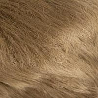 Aki wig - 56cm - Trendco