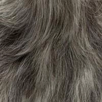 Aki wig - 56cm - Trendco