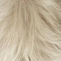 Aki wig - 56cm - Trendco