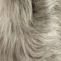 Aki wig - 56cm - Trendco