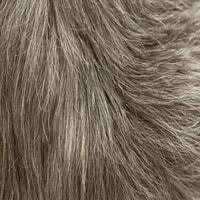 Aki wig - 56cm - Trendco