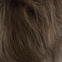 Aki wig - 56cm - Trendco